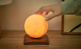 Gingko - Smart LunaSpin Lamp