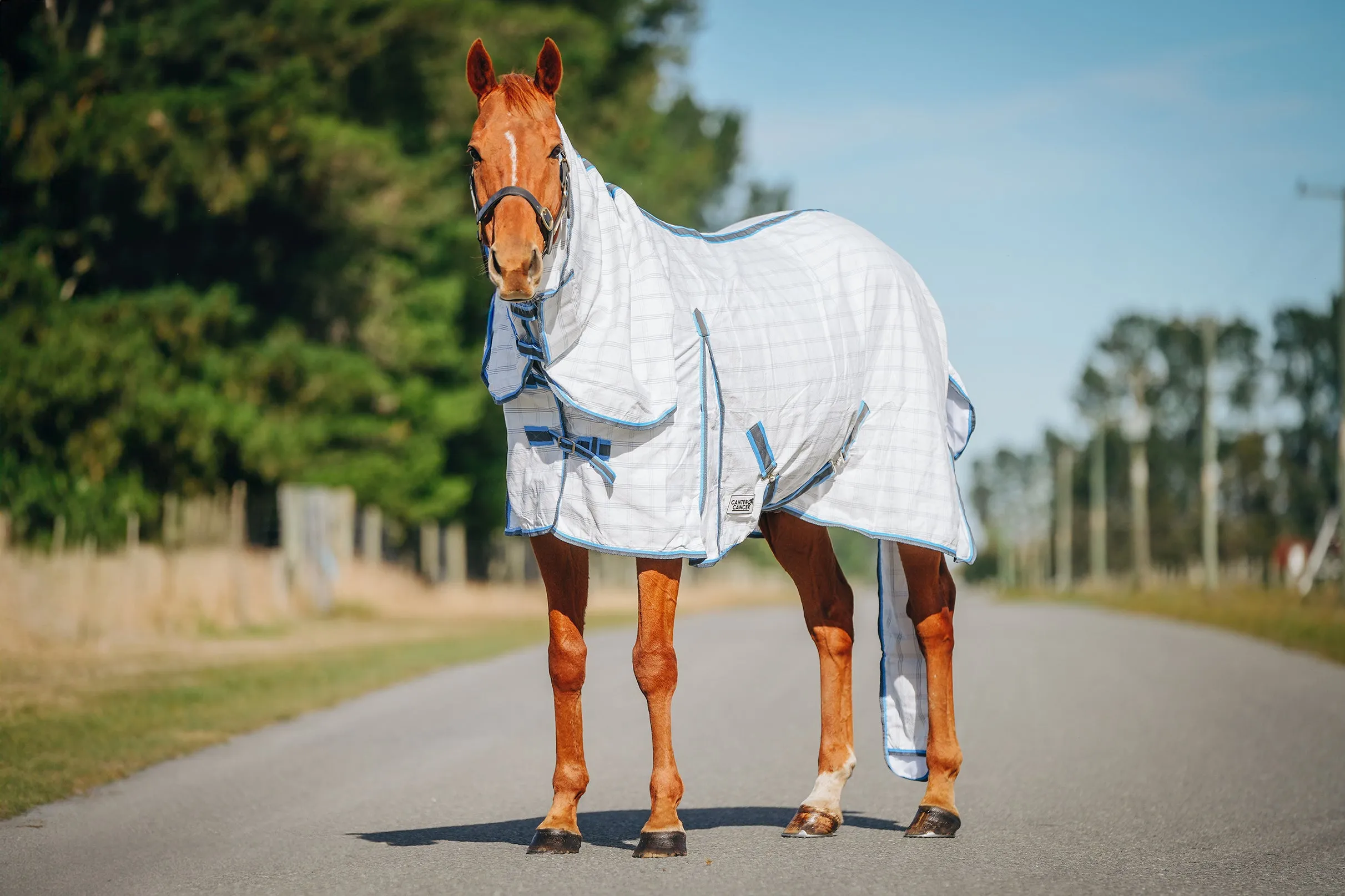 Light Blue & Grey Check Tail Bag Summer Detachable