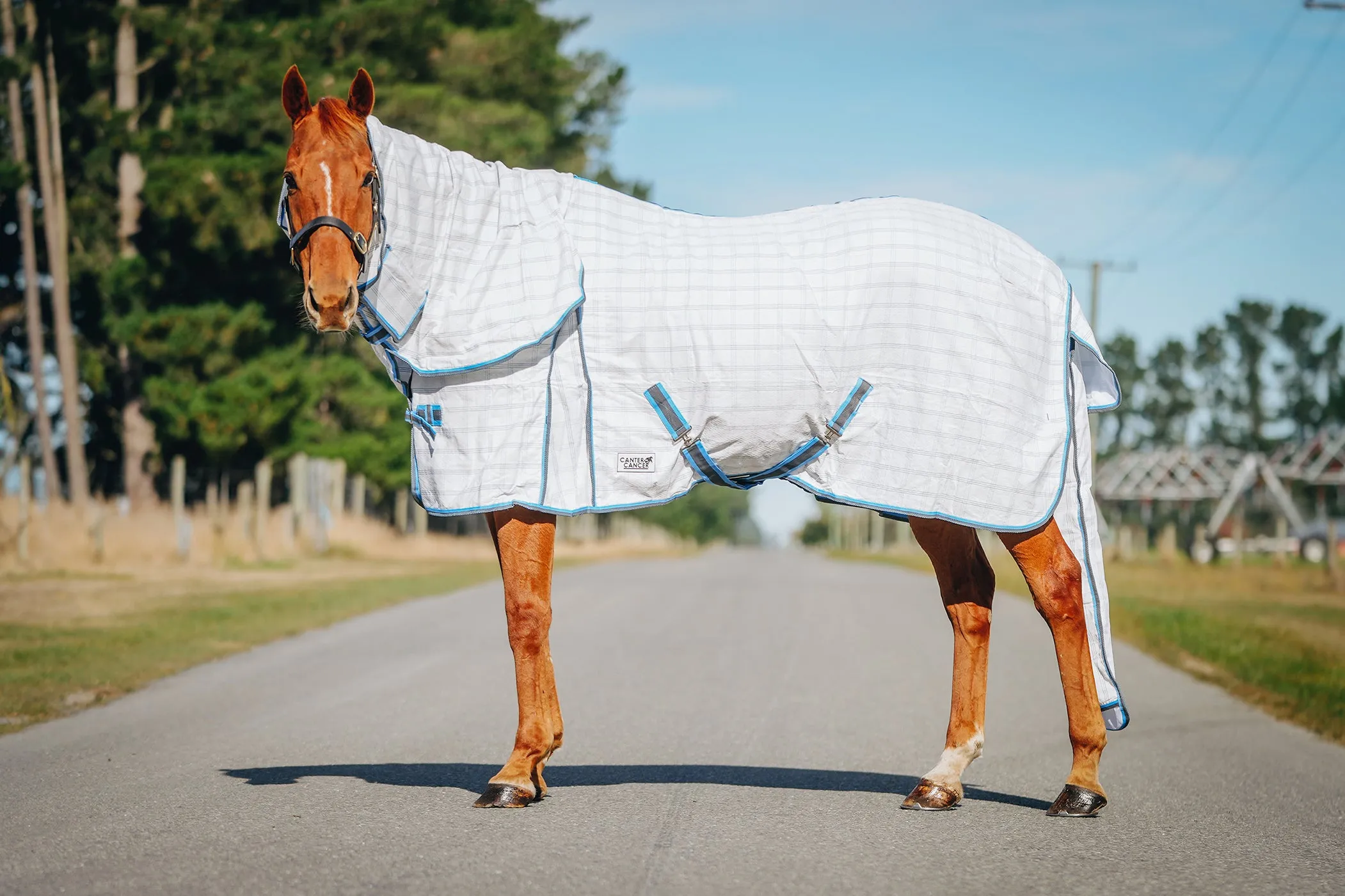 Light Blue & Grey Check Tail Bag Summer Detachable