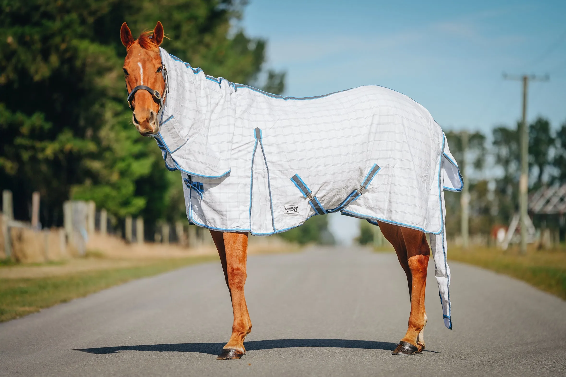 Light Blue & Grey Check Tail Bag Summer Detachable