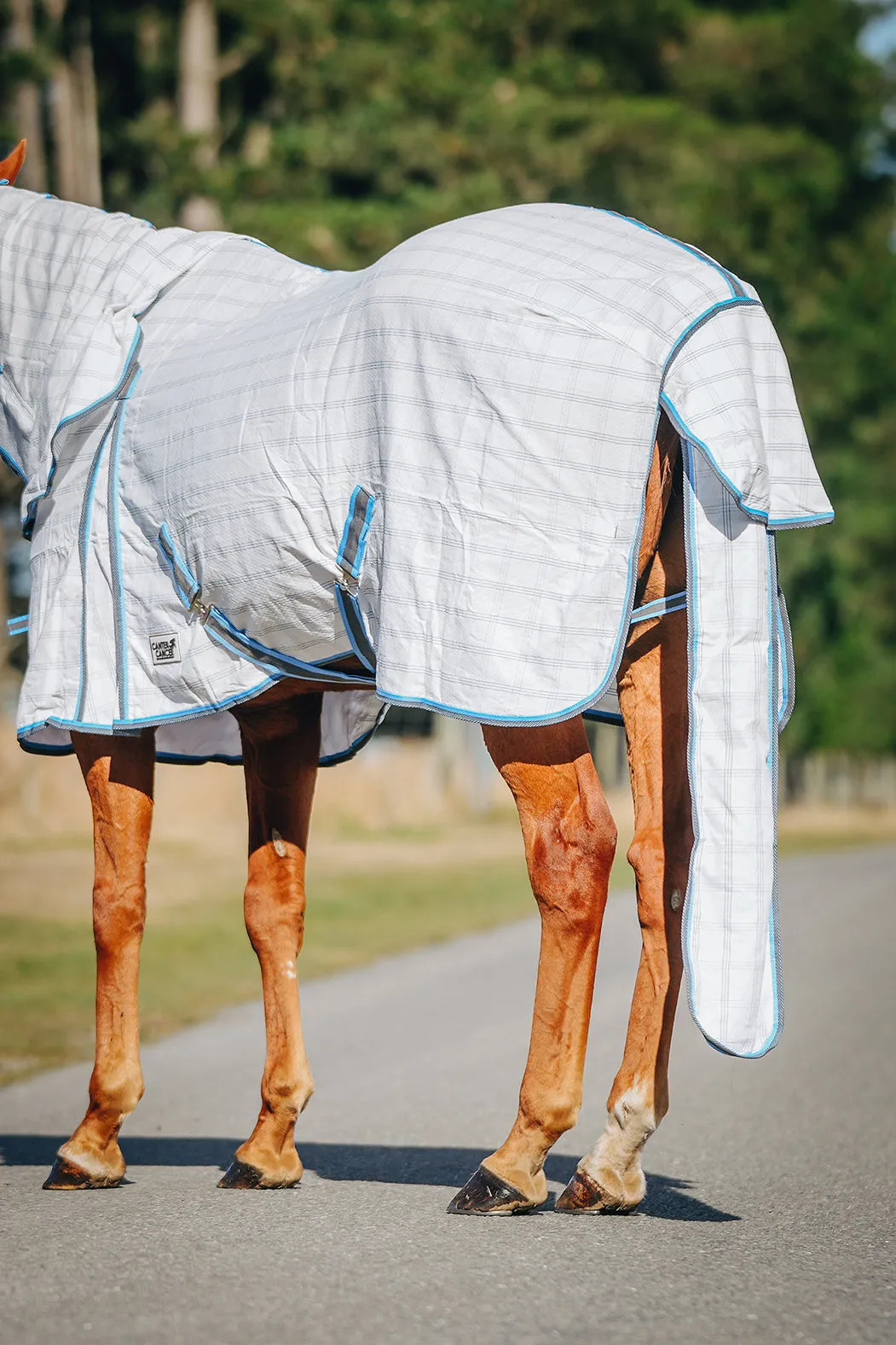 Light Blue & Grey Check Tail Bag Summer Detachable