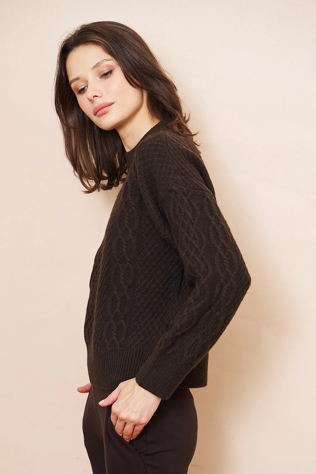 Majestic Yak Wool Cable Long Sleeve Crewneck in Chocolate