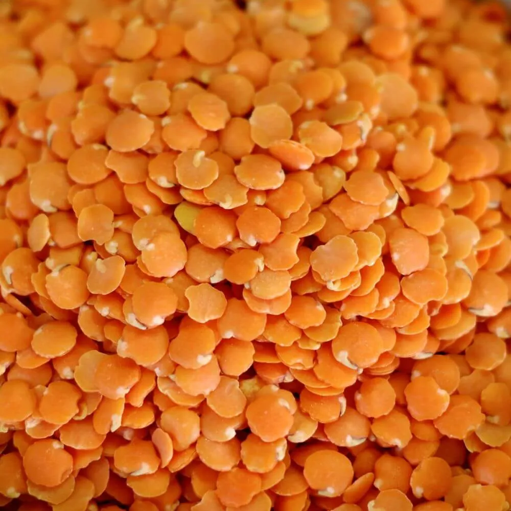 Rainy Day Foods Red Lentils 25 lbs Bag - 118 Servings