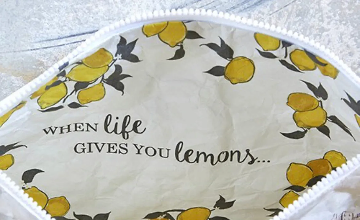 When Life Gives You Lemons Waterproof Pouch